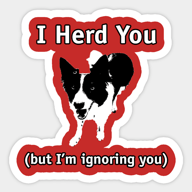 Border Collie - I herd you, but I'm ignoring you Sticker by Dogs and other stuff